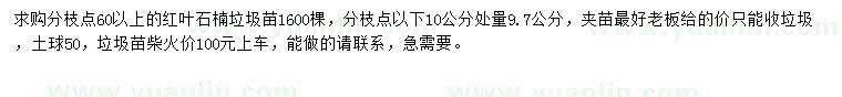 求購分枝點以下10公分處量9.7公分紅葉石楠