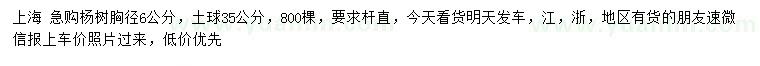 求購(gòu)胸徑6公分楊樹(shù)