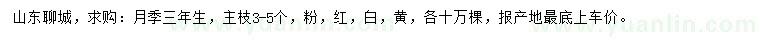 求購三年生月季