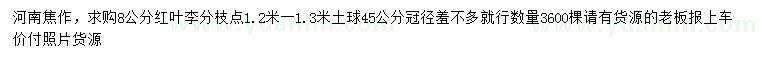 求購(gòu)8公分紅葉李