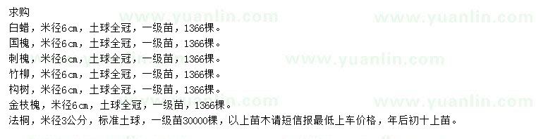 求購白蠟、國槐、刺槐等