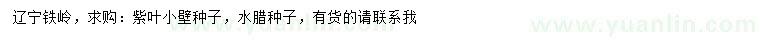 求購紫葉小壁種子、水臘種子