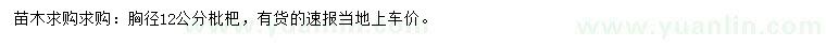 求購胸徑12公分枇杷