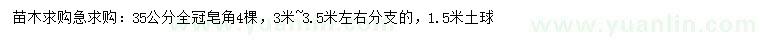 求購35公分皂角