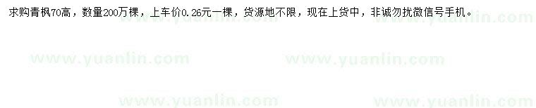 求購高70公分青楓