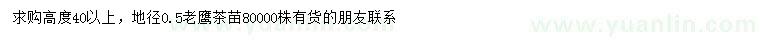 求購(gòu)高40公分以上老鷹茶苗