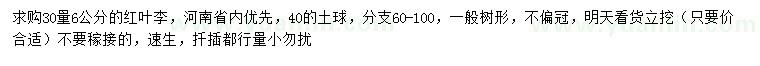 求購30量6公分紅葉李