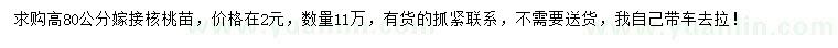 求購高80公分嫁接核桃苗