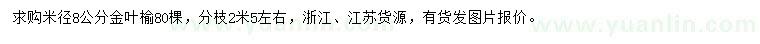 求購米徑8公分金葉榆