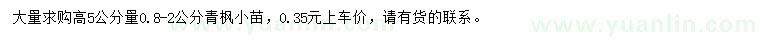 求購(gòu)高5公分量0.8-2公分青楓小苗