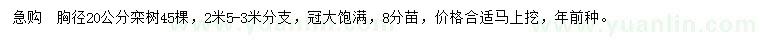 求購(gòu)胸徑20公分欒樹(shù)