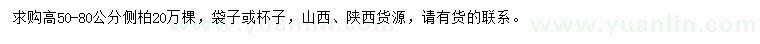 求購高50-80公分側(cè)柏