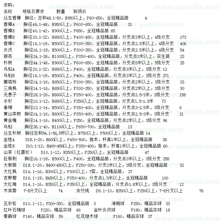 求購叢生香樟、香樟、女貞等