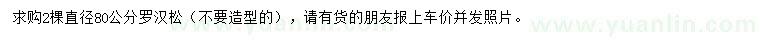 求購直徑80公分羅漢松