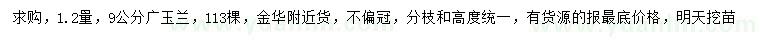 求購1.2 量9公分廣玉蘭