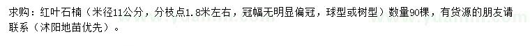 求購米徑11公分紅葉石楠