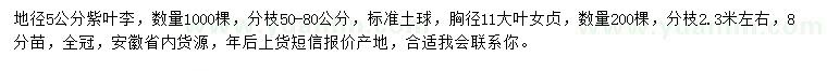 求購地徑5公分紫葉李、胸徑11大葉女貞