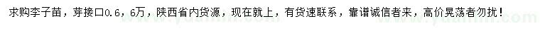 求購芽接口0.6公分李子苗