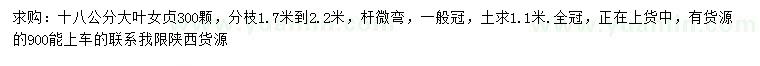 求購18公分大葉女貞