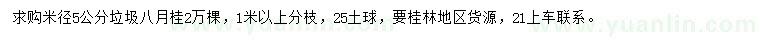 求購米徑5公分八月桂