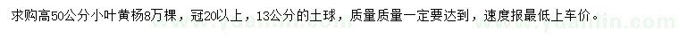 求購(gòu)高50公分小葉黃楊