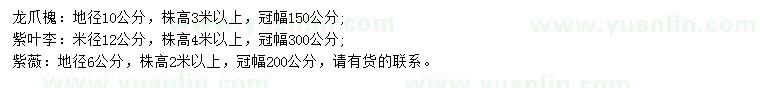 求購(gòu)龍爪槐、紫葉李、紫薇