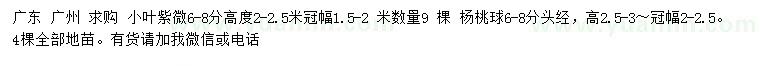 求購高6-8公分小葉紫微、楊桃球