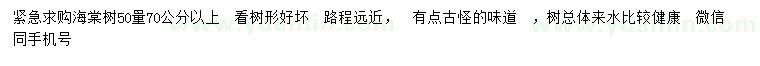 求購(gòu)50量70公分以上海棠樹