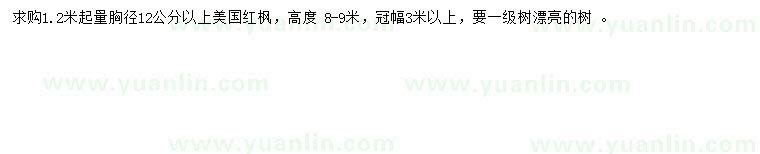 求購(gòu)1.2米起量胸徑12公分以上美國(guó)紅楓