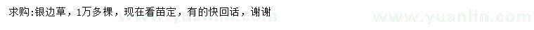 求購銀邊草