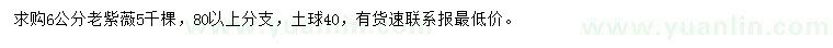 求購6公分老紫薇