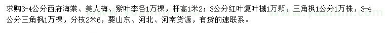 求購(gòu)西府海棠、美人梅、紫葉李等