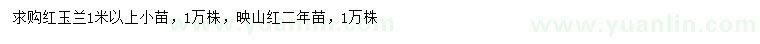 求購1米以上紅玉蘭小苗、二年映山紅苗