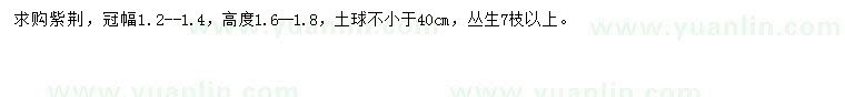 求購(gòu)冠幅1.2-1.4米紫荊