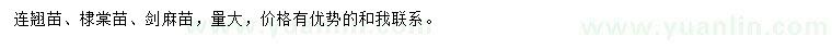 求購連翹苗、棣棠苗、劍麻苗