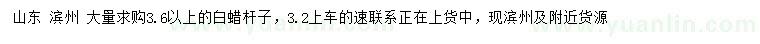 求購3.6公分以上白蠟桿子