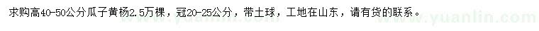 求購(gòu)高40-50公分瓜子黃楊