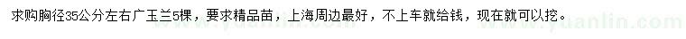 求購胸徑35公分左右廣玉蘭
