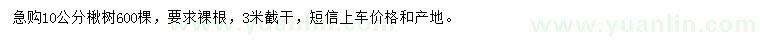 求購10公分楸樹