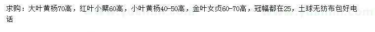 求購大葉黃楊、紅葉小檗、小葉黃楊等