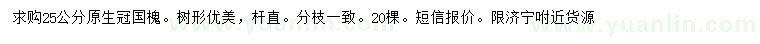 求購25公分國槐