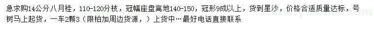 求購(gòu)14公分八月桂