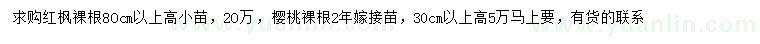 求購(gòu)高80公分以上紅楓小苗、30公分以上櫻桃苗