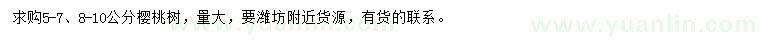 求購5-7、8-10公分櫻桃樹