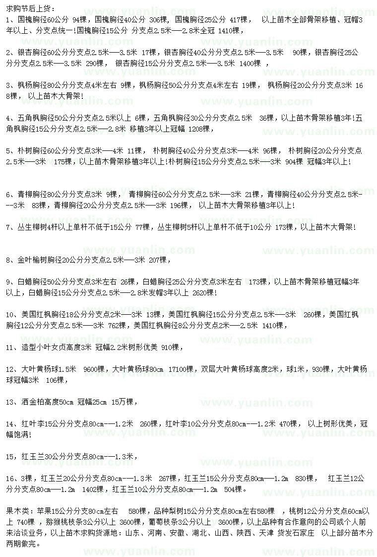 求購國槐、銀杏、楓楊等