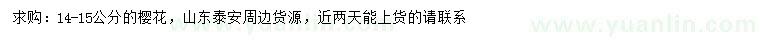 求購(gòu)14-15公分櫻花