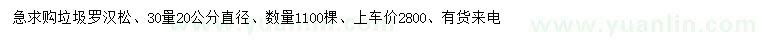 求購30量直徑20公分羅漢松
