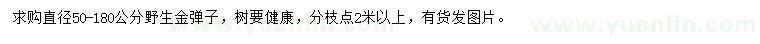 求購直徑50-180公分野生金彈子