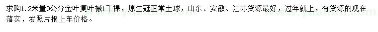 求購1.2米量9公分金葉復葉槭