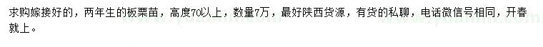 求購(gòu)高70公分以上板栗苗